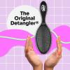 Wet Brush Original Detangler Hair Brush, Amazon Exclusive Aqua- Ultra-Soft IntelliFlex Bristles-Detangling Hairbrush Glides Through Tangles – All Hair Types (Wet & Dry Hair) – Women & Men (Pack of 2)(Cinnamaroll)