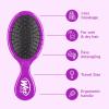 Wet Brush Squirt Detangling Brush, Sky, Mini Detangler, No Tangle Ultra-Soft IntelliFlex Bristles, Wet & Dry Styling Hairbrush for Women & Men, All Hair Types(Purple)