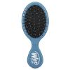 Wet Brush Squirt Detangling Brush, Sky, Mini Detangler, No Tangle Ultra-Soft IntelliFlex Bristles, Wet & Dry Styling Hairbrush for Women & Men, All Hair Types(Elemental Blue)