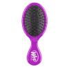 Wet Brush Squirt Detangling Brush, Sky, Mini Detangler, No Tangle Ultra-Soft IntelliFlex Bristles, Wet & Dry Styling Hairbrush for Women & Men, All Hair Types(Purple)