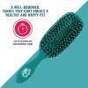 Wet Brush Pet Hair Brush, Smooth, Shiny Fur, Dog and Cat Hairbrush, De-Shedding Comb & Dematting Tool for Grooming Long or Short-Haired Dogs, Tangle-Free for Less Pulling & Tugging, Teal(Teal)