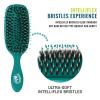 Wet Brush Pet Hair Brush, Smooth, Shiny Fur, Dog and Cat Hairbrush, De-Shedding Comb & Dematting Tool for Grooming Long or Short-Haired Dogs, Tangle-Free for Less Pulling & Tugging, Teal(Teal)